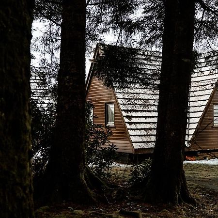 The Triangle Lodge Invergarry Dış mekan fotoğraf